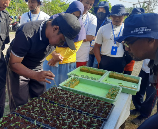 Pelatihan semai pertanian hidroponik.