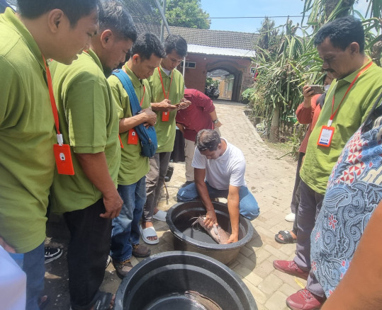 Pelatihan perternakan ikan lele.